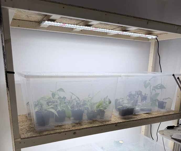 Espace de culture dédié aux plantes exotiques d'Un Jour, Une Plante