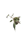 IMG_3657-Photoroom.webp