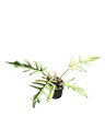 IMG_5922.png