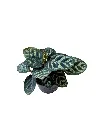 IMG_4813-Photoroom.webp