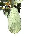 IMG_5300-Photoroom.webp