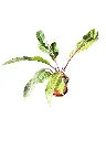 IMG_5311-Photoroom.webp