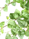 IMG_5794.webp