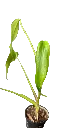 15F7C85B-89FD-46D6-9143-574E0480F025.webp