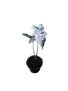 IMG_6275.png