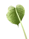 IMG_6313.webp