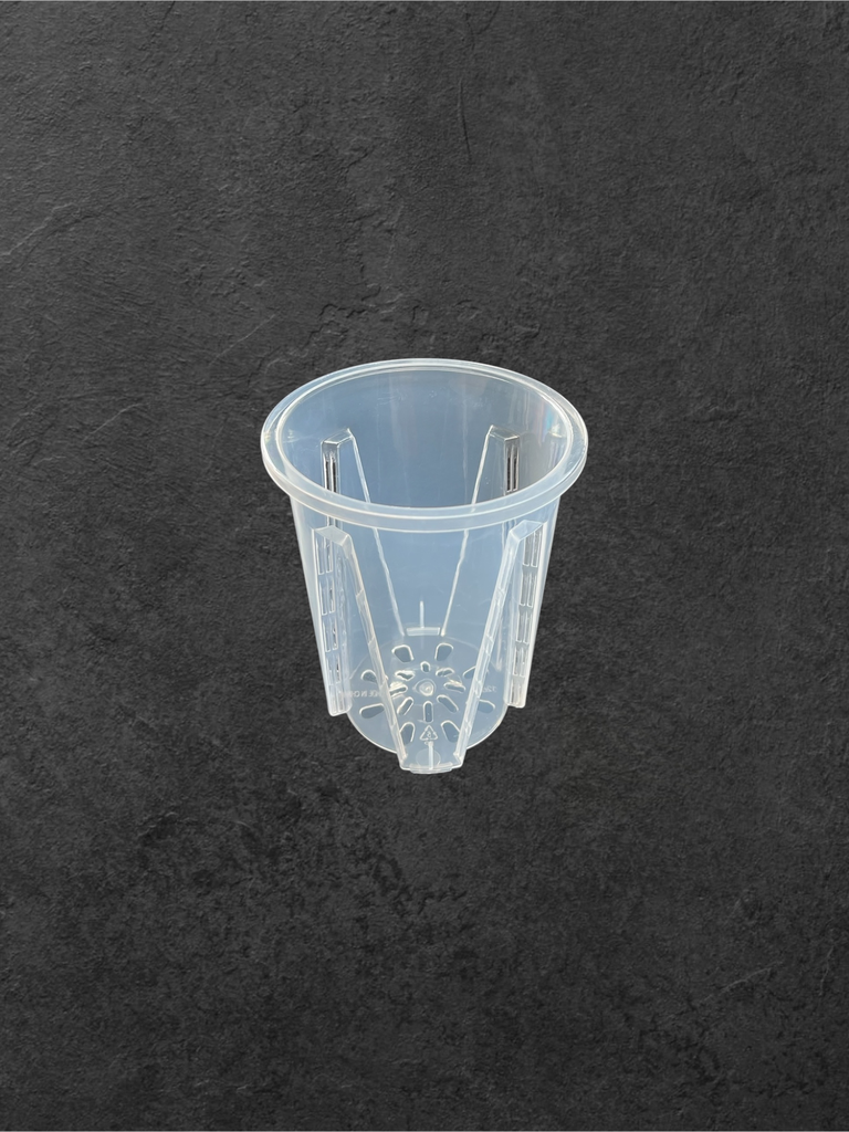 Aroid Pots 12 ø