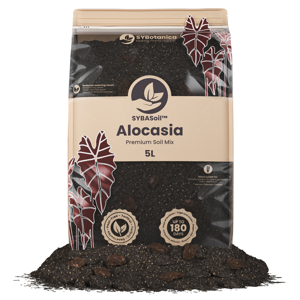 Terreau Premium – Spécial Alocasia (Sybotanica)