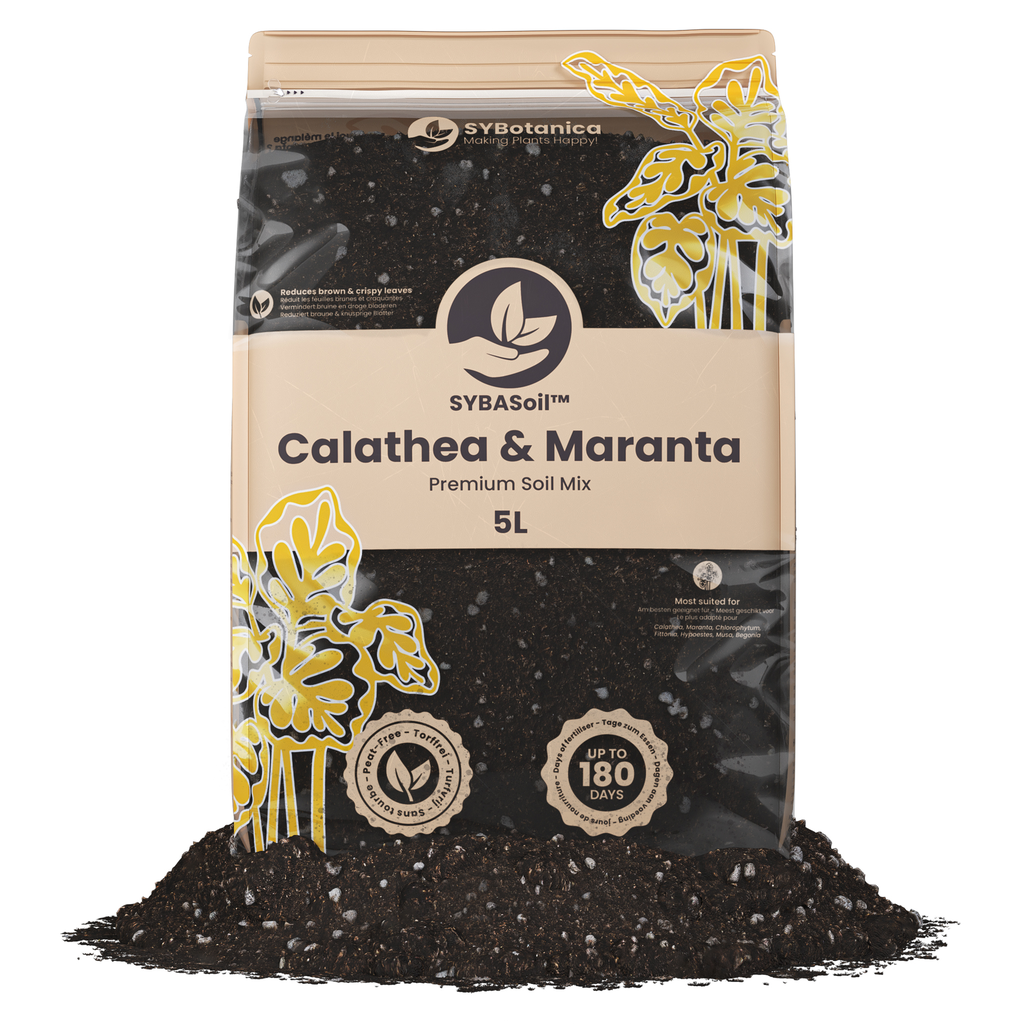 Terreau Premium – Spécial Calathea & Maranta (Sybotanica)