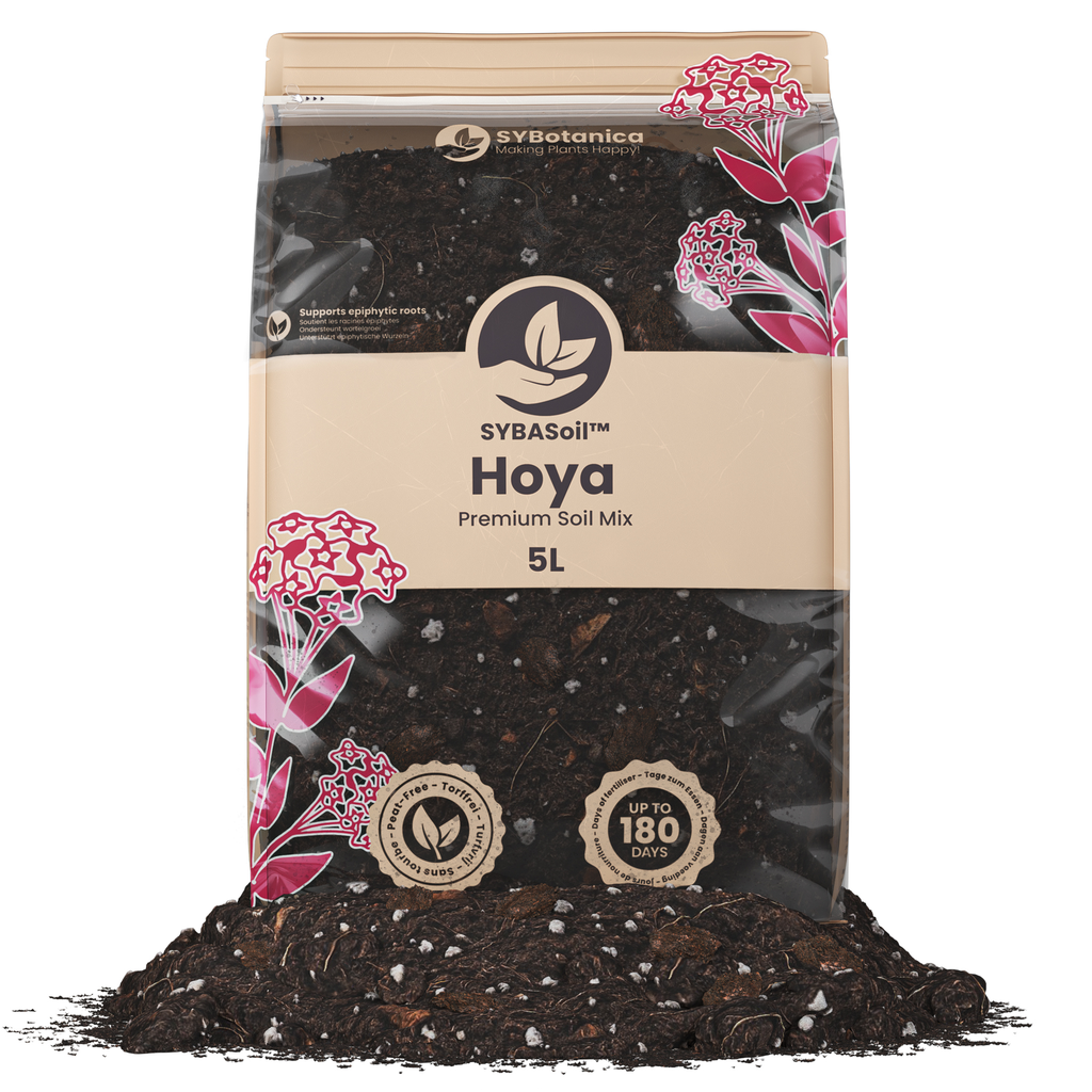 Terreau Premium – Spécial Hoya (Sybotanica)